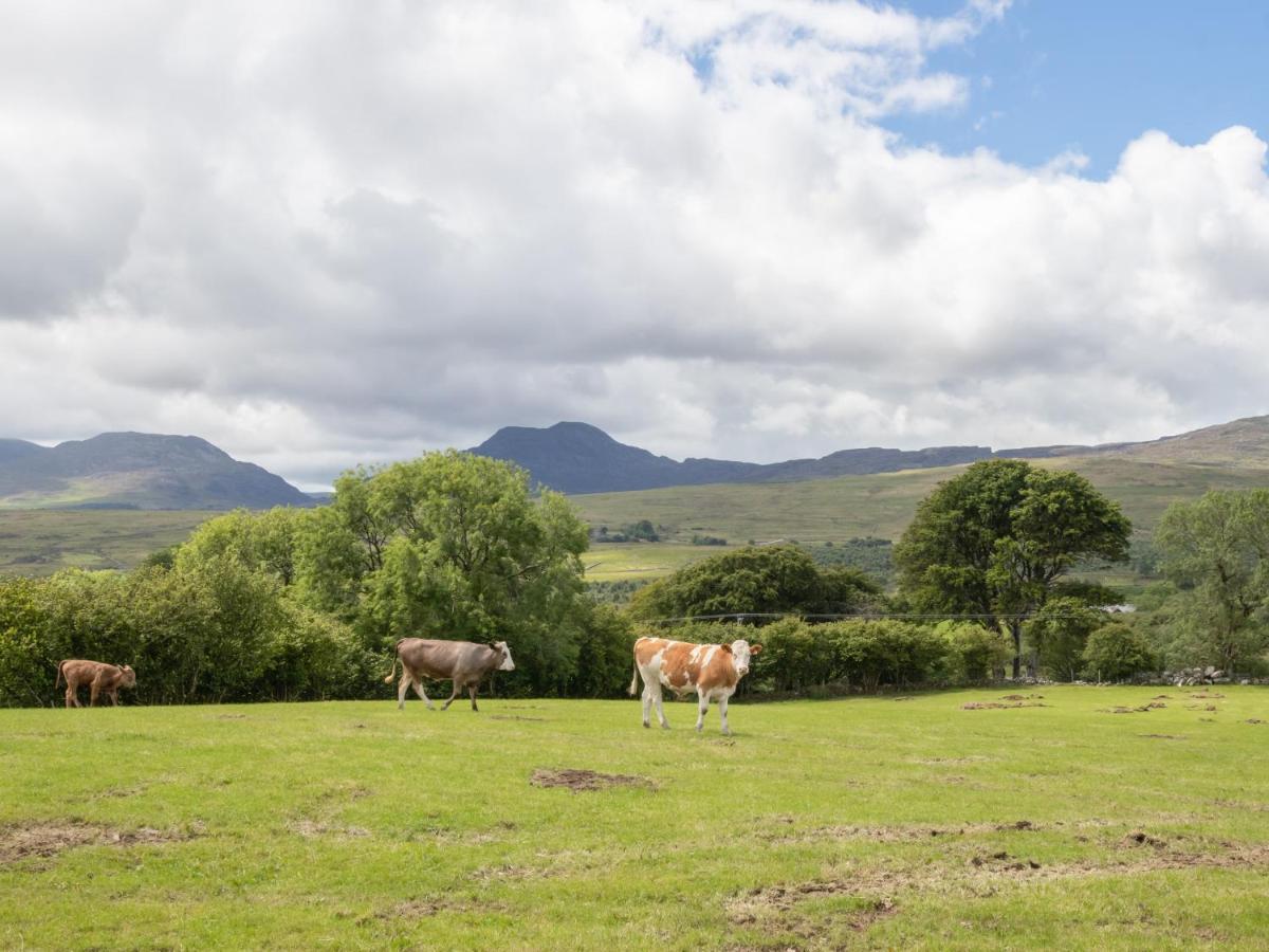 Hendre Cottage Trawsfynydd Bagian luar foto